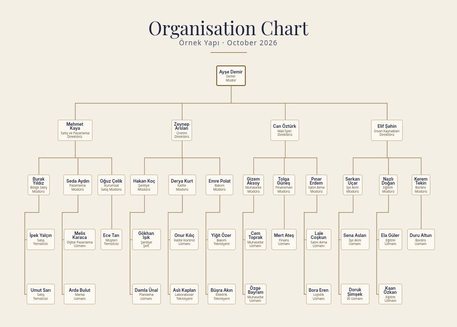 Organisation Chart — your team, level by level, one sheet