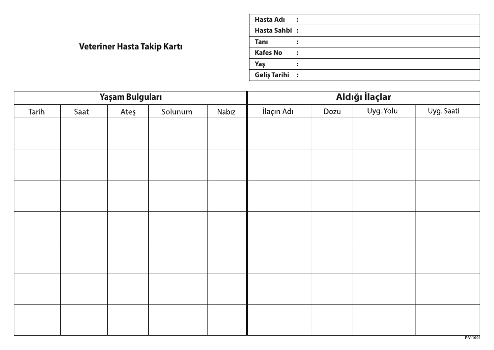 Veteriner Klinik Form Seti
