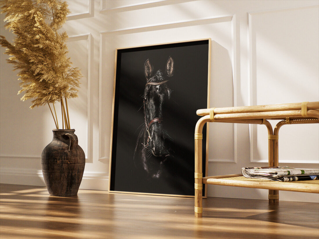 A high-contrast photographic portrait of a black horse's head with a brown leather bridle against a dark background.